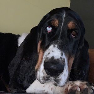 Meet your Posher, Madison